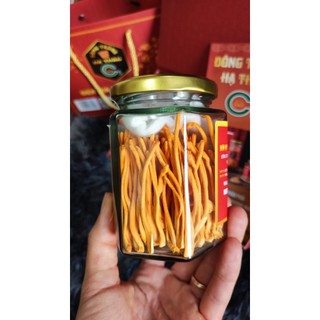 Nấm đông trùng hạ thảo khô sấy thăng hoa cao cấp lọ 10g