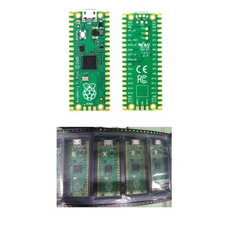 Raspberry Pi Pico RP2040