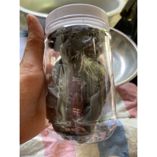 Keo chim sẻ. chào mào hũ 2 lạng keo mủ dẻo mềm