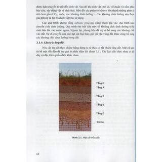 Sách - Môi trường ( Dành cho sinh viên Dược)
