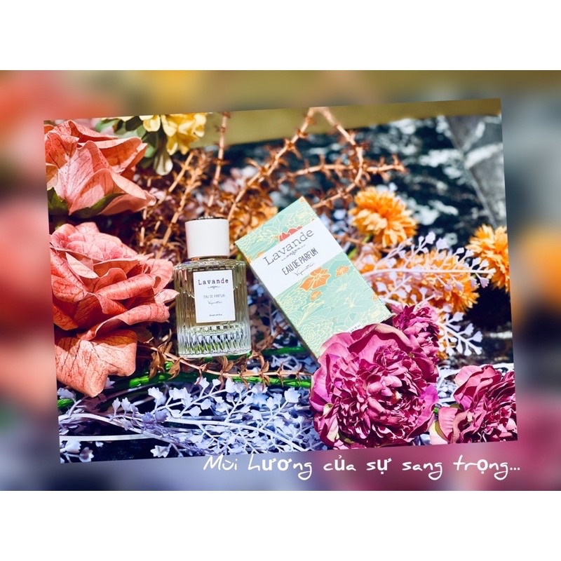 NƯỚC HOA LƯU HƯƠNG LAVANDE