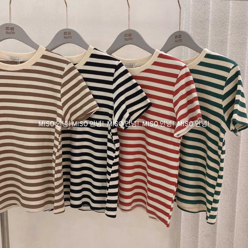 Áo len tăm kẻ to qccc