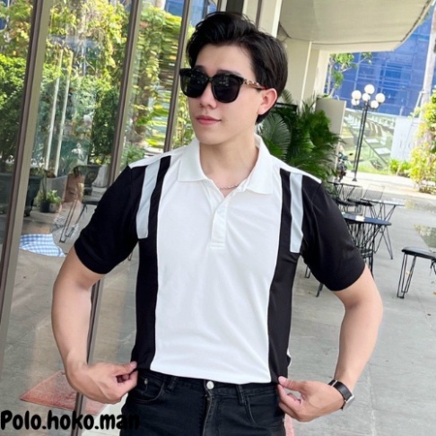 Áo thun polo nam, áo polo cổ bẻ tay ngắn nam vải cotton cá sấu cao cấp hàng xuất xịn HoKoMan