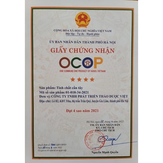 Tinh bột Cần tây - Vietherbes