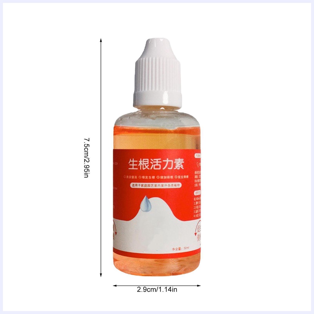 Tinh Chất Kích Thích Mọc Rễ Cây 50ml Cho Mọi Loại Da