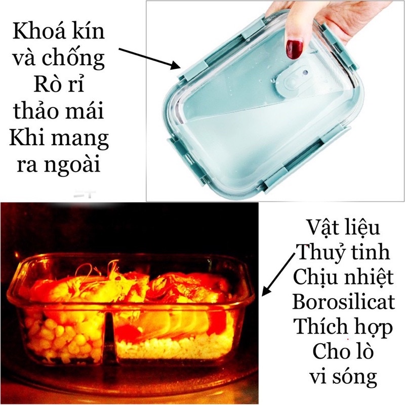Hộp Cơm Văn Phòng - Hộp Đựng Thực Phẩm - Quay Lò Vi Sóng - Chịu Nhiệt 200 độ Vega365.vn