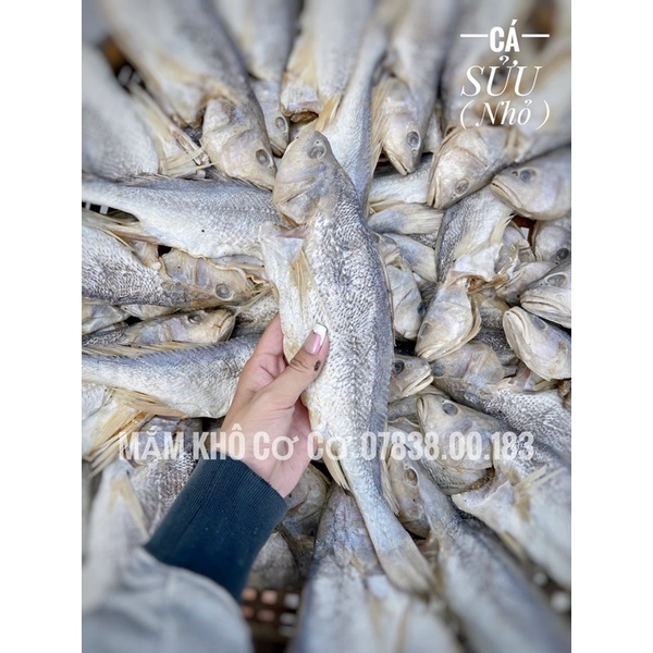 Khô Cá Sửu 1 Nắng Nguyên Con Túi 1kg, Cá Khô Loại 1 Siêu Thơm Ngon Đậm Vị, Mắm Cá Cơ Cơ