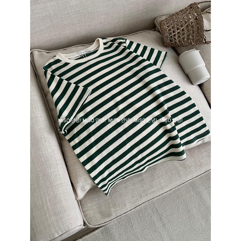 Áo len tăm kẻ to qccc