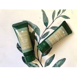 Mini dầu gội xả gừng WEILAIYA