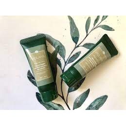 Mini dầu gội xả gừng WEILAIYA