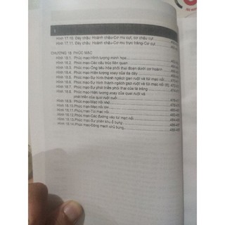 Giai phau nguc bung (A5)