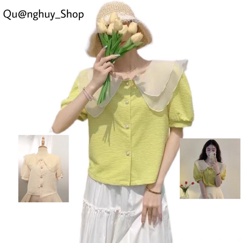 Áo Sơ Mi Nữ Ngắn Tay Freesize Thiết Kế Cổ Bèo Phong Cách Tiểu Thư Hàn Quốc Màu Sắc Trẻ Trung