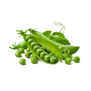 15 hạt giống đậu hà lan
