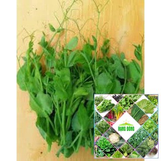 10 gram đậu hà lan ăn lá siêu ngọn