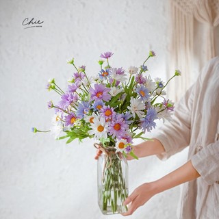 Cúc họa mi decor phòng cực xinh
