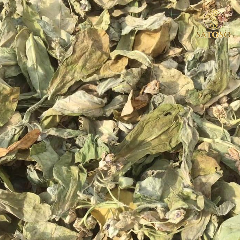 Cây lá hen khô SATOSO 1kg thượng hạng hỗ trợ tốt cho người bị ho, hen xuyễn
