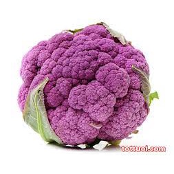 Hạt giống súp lơ tím dinh dưỡng cao  300 hạt TRỢ GIÁ