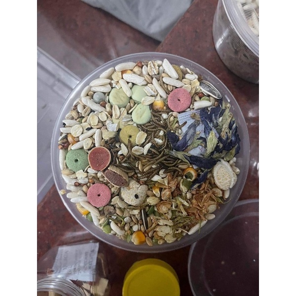 Thức ăn trộn hàng ngày cho hamster 🐹