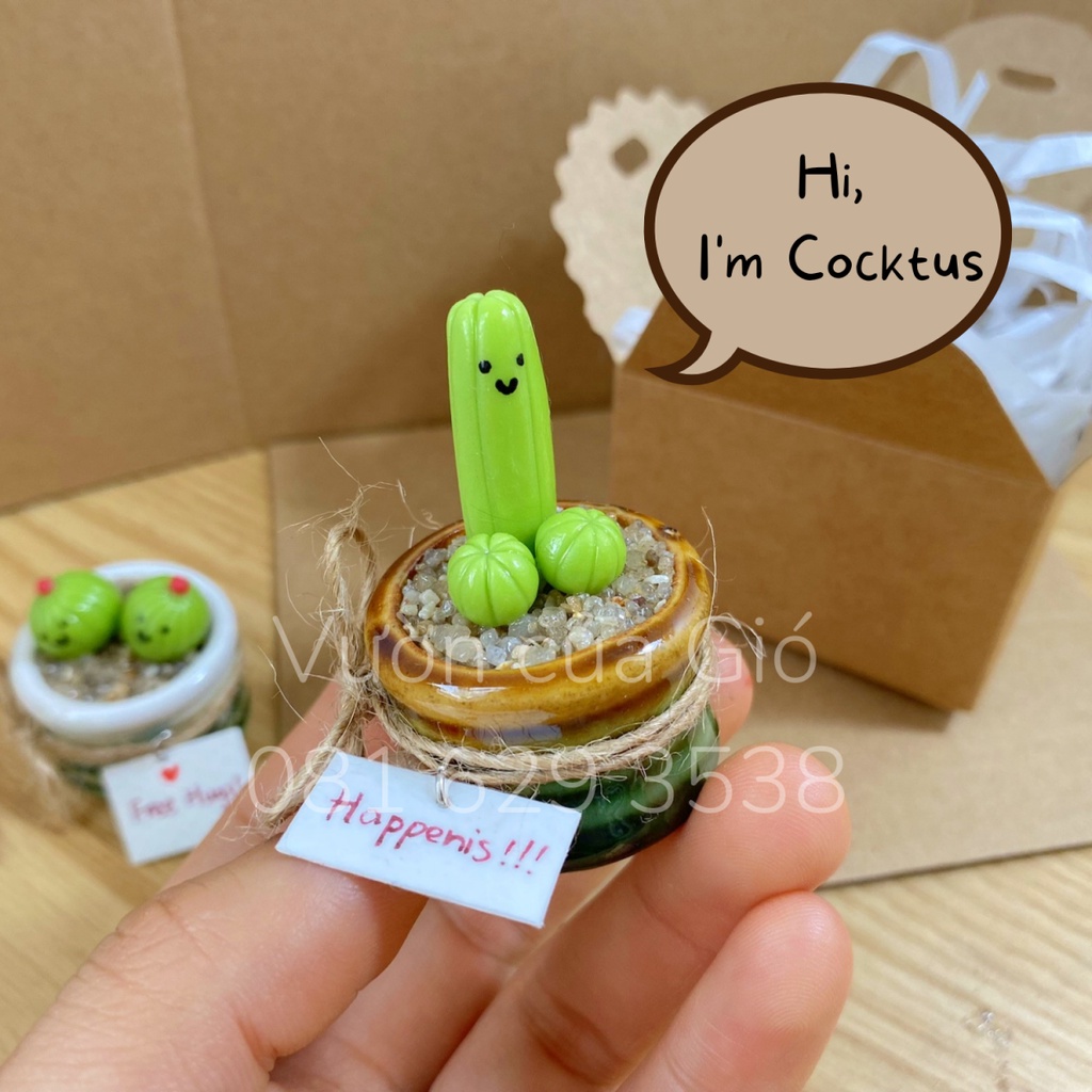 Quà tặng bạn trai, chậu xương rồng mini Cắc Tút