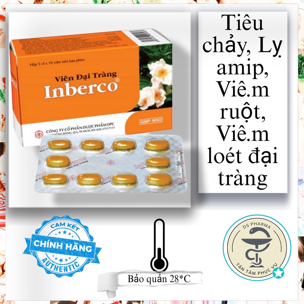 Viên Đại Tràng INBERCO OPC Hỗ trợ giảm các chứng tiêu chảy, viêm đại tràng (Hộp 50 viên BP)