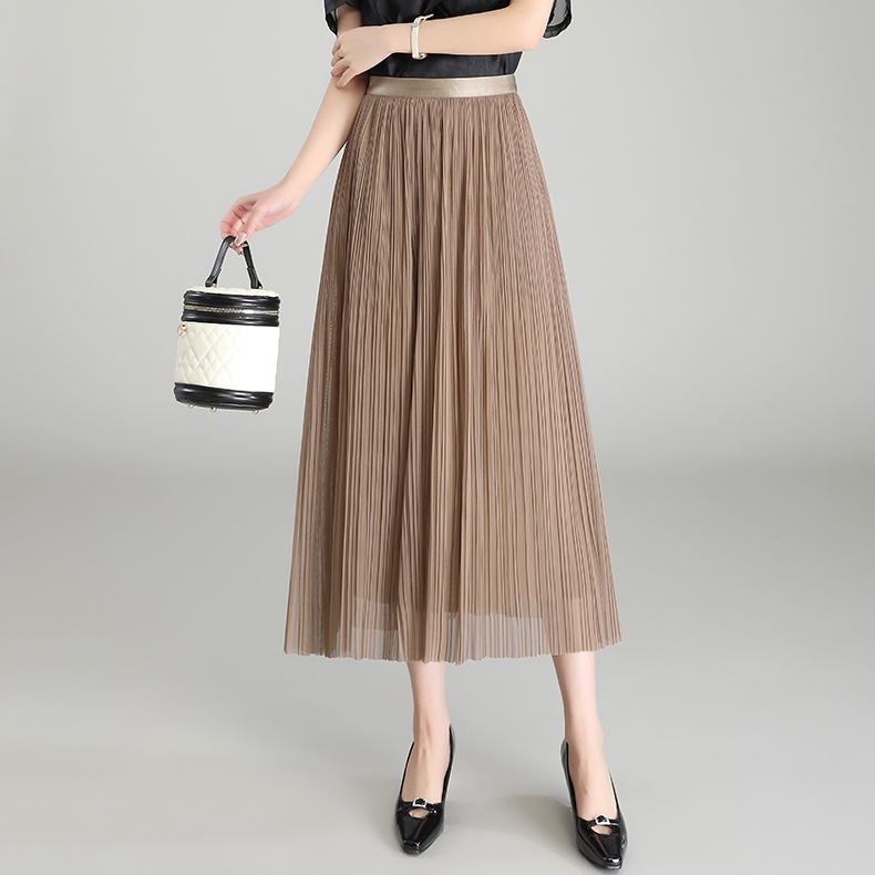 Chân Váy Lưới Dáng Chữ a Lưng Cao Xếp Ly Thời Trang Xuân Thu 2023 Mới