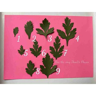 Lá cúc giấy cắt sẵn nhiều size