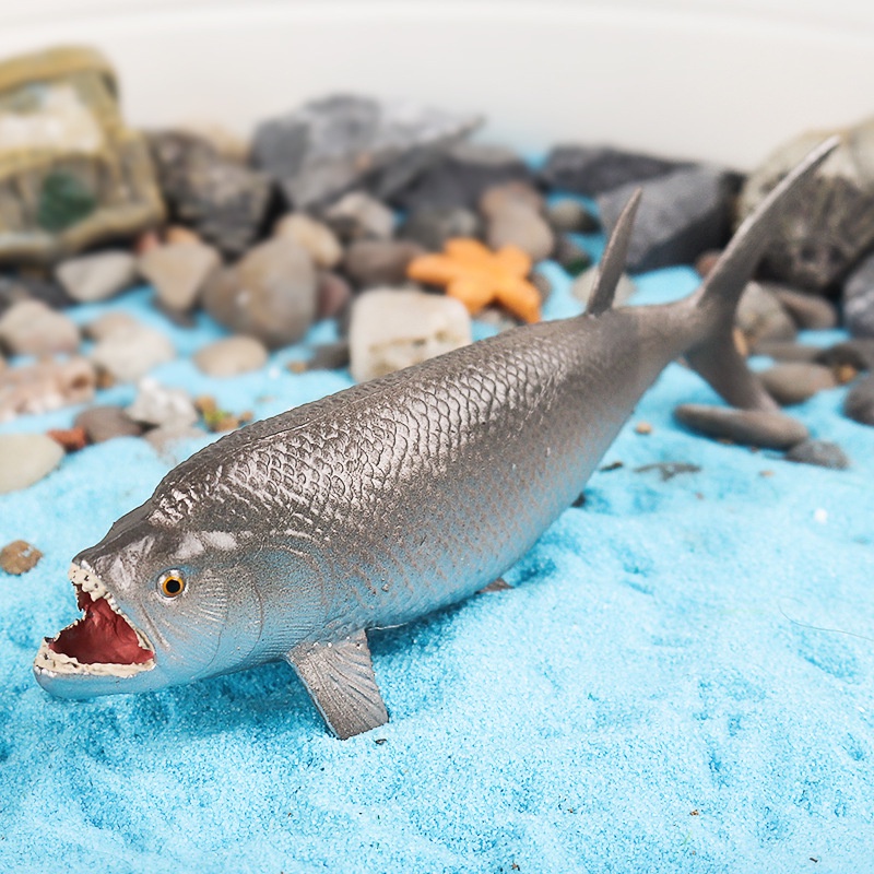 Đồ trang trí Tôm Cua / Cá Sinh Vật Biển Trưng Bày Trang Trí Cho Bé