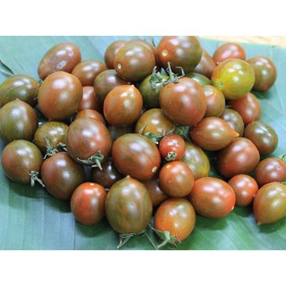 30 hạt giống cà chua socola nhiều dinh dưỡng