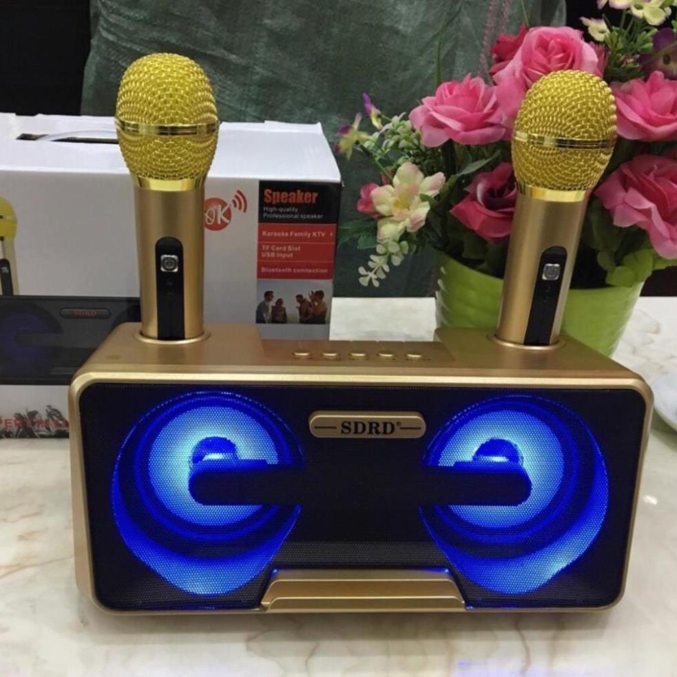 LOA KARAOKE SD309 Công Suất Lớn Kèm 2 Micro Không Dây Chỉnh ECHO, VOLUME