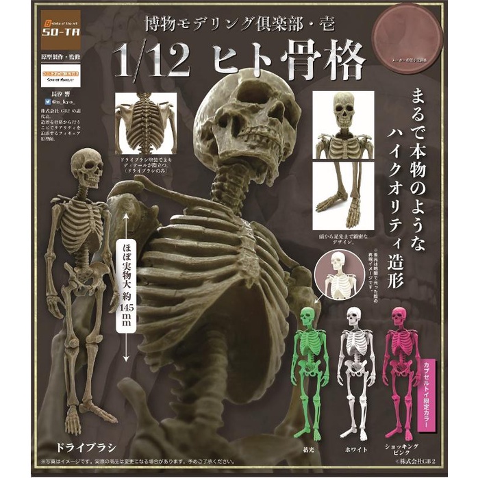 Viên Nang Đồ Chơi Hình Xương Người SO-TA Bảo Tàu Ngay Lập Phương Nhật Bản Có Thể Vừa Vặn Trang Trí