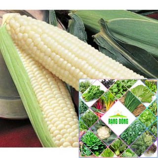 gói 30 hạt giống ngô nếp HAT F1