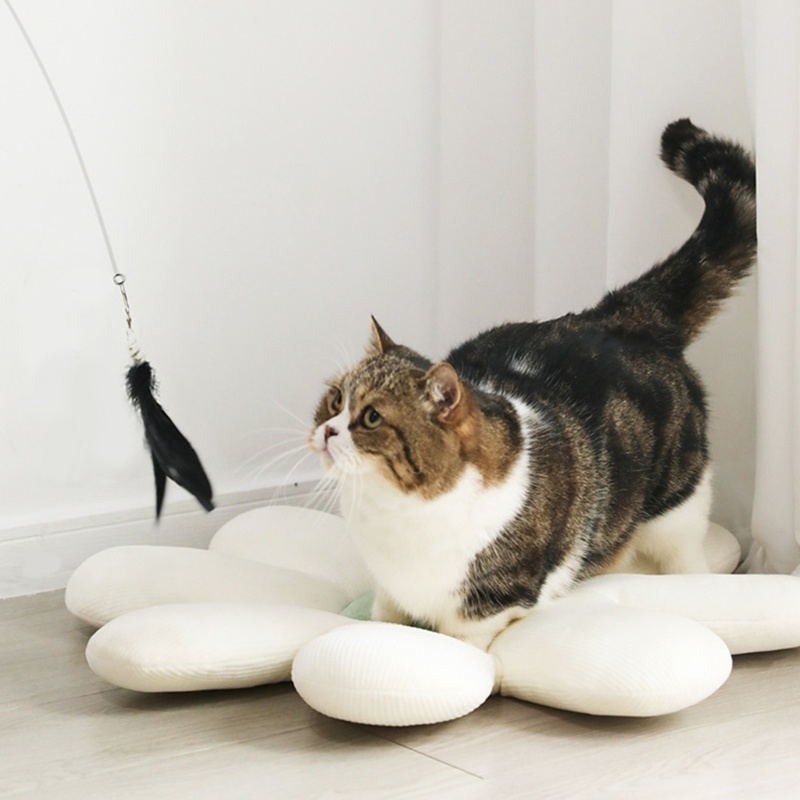 Đồ Chơi Tương Tác Với Mèo Có Chuông Và Đèn 10 "Đến 25"