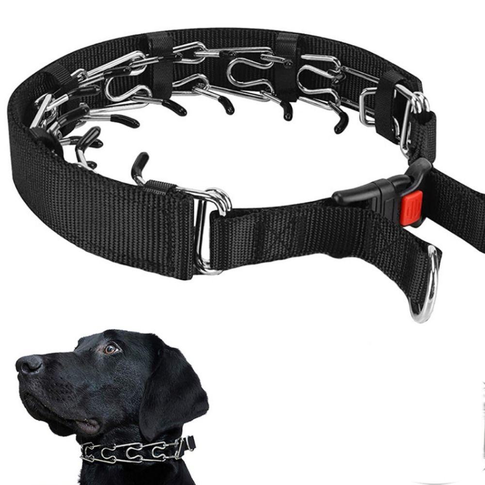 [COD] Vòng Cổ Huấn Luyện Chó Bằng Thép Không Gỉ Bền Với Đầu Tháo Lắp Nhanh Có Thể Điều Chỉnh