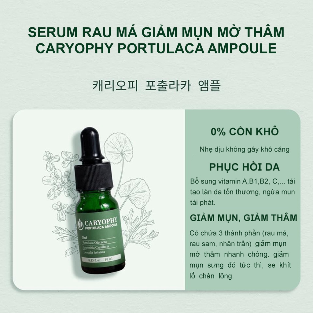 Serum rau má giảm mụn mờ thâm Caryophy Portulaca Ampoule (10ml 30ml)