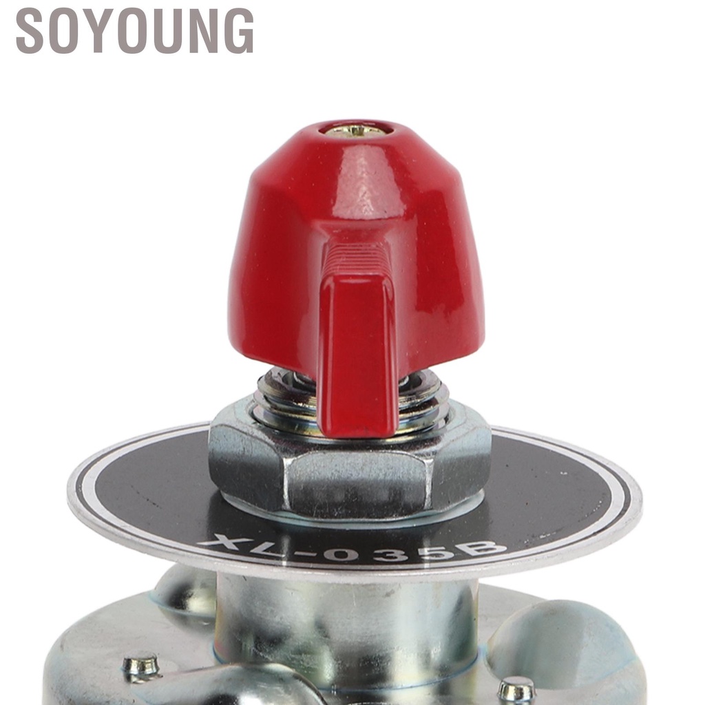 Soyoung Battery Disconnect Switch 2 Terminal Kill for Cars Motorcycles Boats