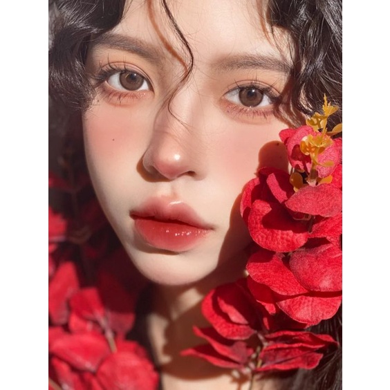 Cành Lá Giả /lá Táo Cao Su Mốc, Lá Bạch Đàn , Khuynh Diệp Khô, Eucalyptus ,  , Sliver Dollar Dùng Để Trang Trí Decor