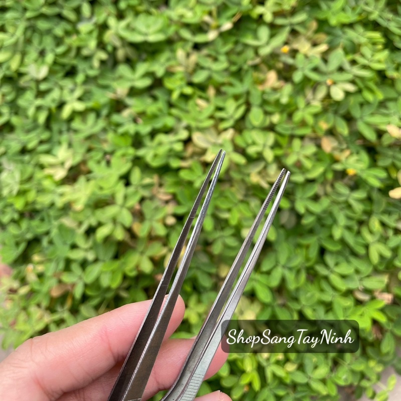 Nhíp Gắp Rái Tai Nghĩa Vina/ Thanh Sơn