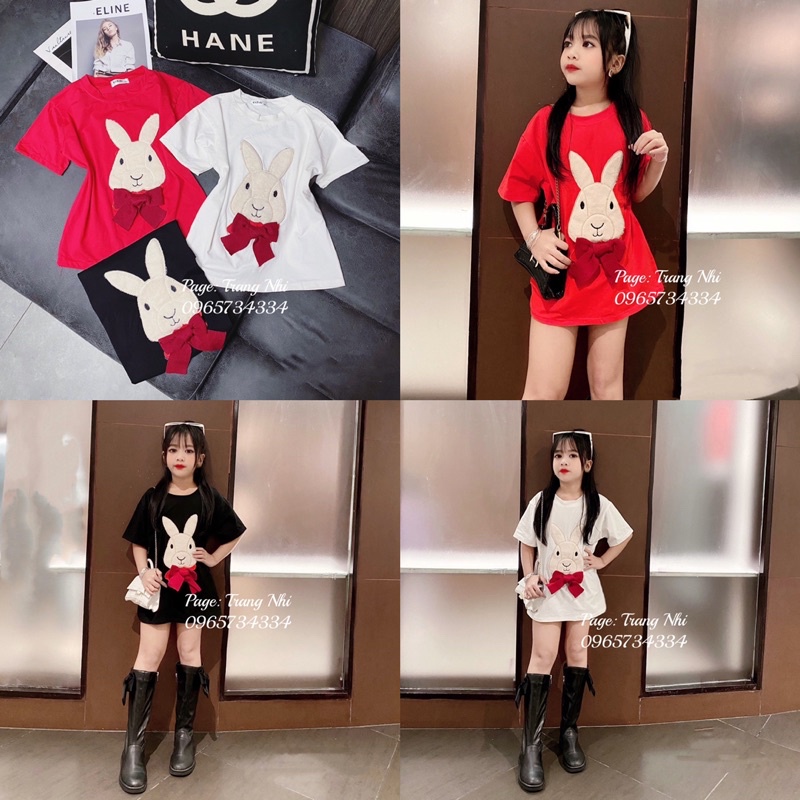 Áo Phông Thỏ dáng chùm mông cho bé size đại 17kg - 42kg