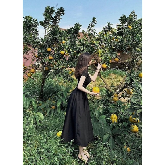 Váy phối cổ cao chân váy xoè