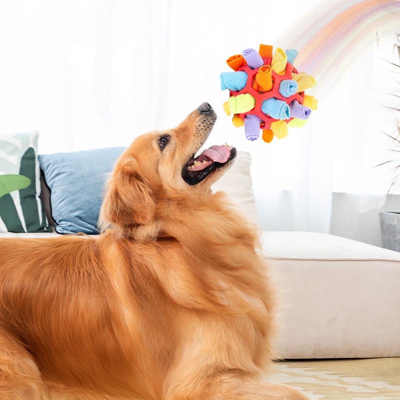 HamshMoc Đồ Chơi Nhồi Bông Giải Tỏa Căng Thẳng Cho Thú Cưng