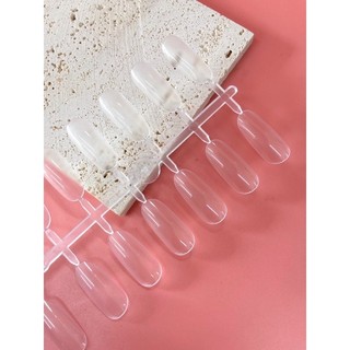 MÓNG TRÒN TẬP VẼ NAIL BÌ 240 MÓNG
