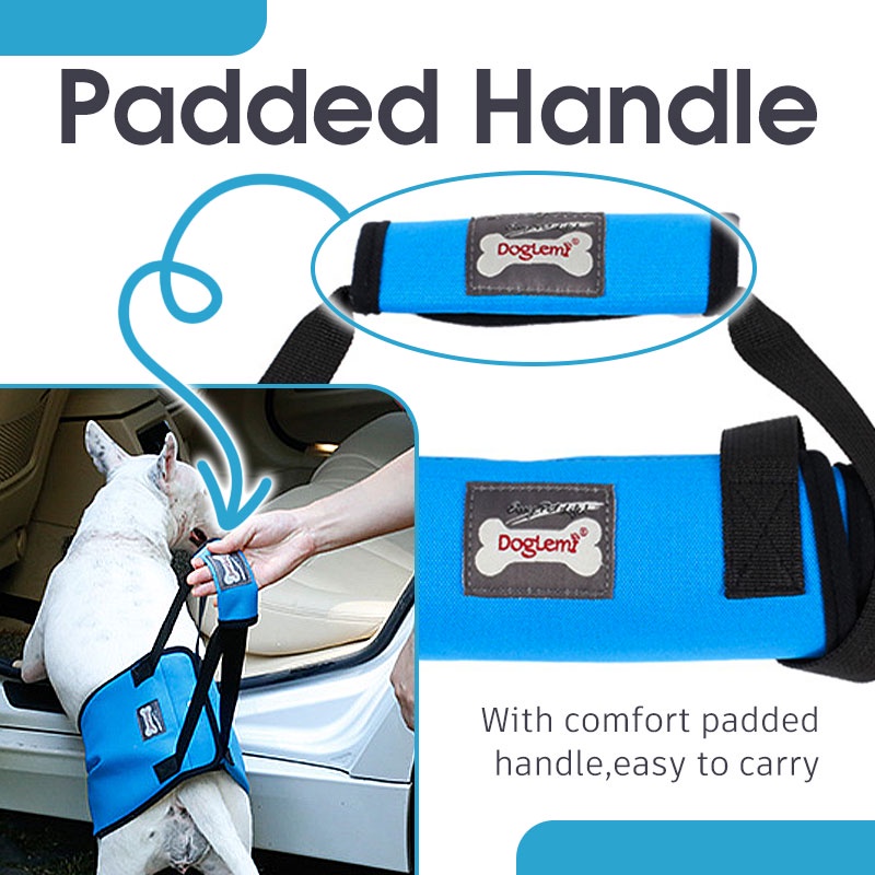 HamshMoc Dây Đai Hỗ Trợ Dắt Thú Cưng Đi Dạo Thiết Kế Thoáng Khí Tiện Dụng