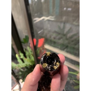 Gù Trung Carbon Forget Vảy Vàng V2 (1 Cặp)