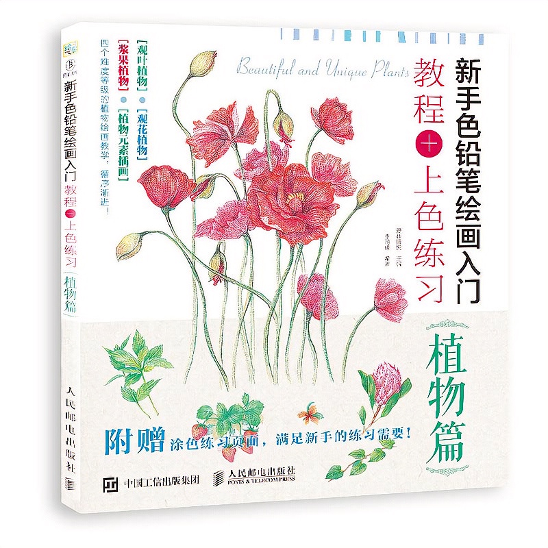 Bút Chì Màu Vẽ Tranh Bằng Tay Chuyên Dụng