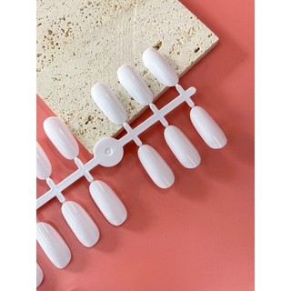 MÓNG TRÒN TẬP VẼ NAIL BÌ 240 MÓNG
