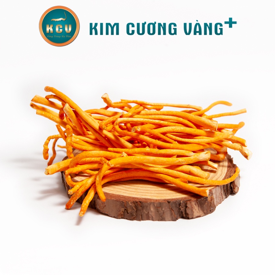 Combo Đông Trùng Hạ Thảo + Nhụy Hoa Nghệ Tây Kim Cương Vàng (1g/Hộp) - Tặng 1 Hộp Mặt Nạ C13