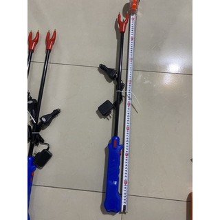gậy lùa heo