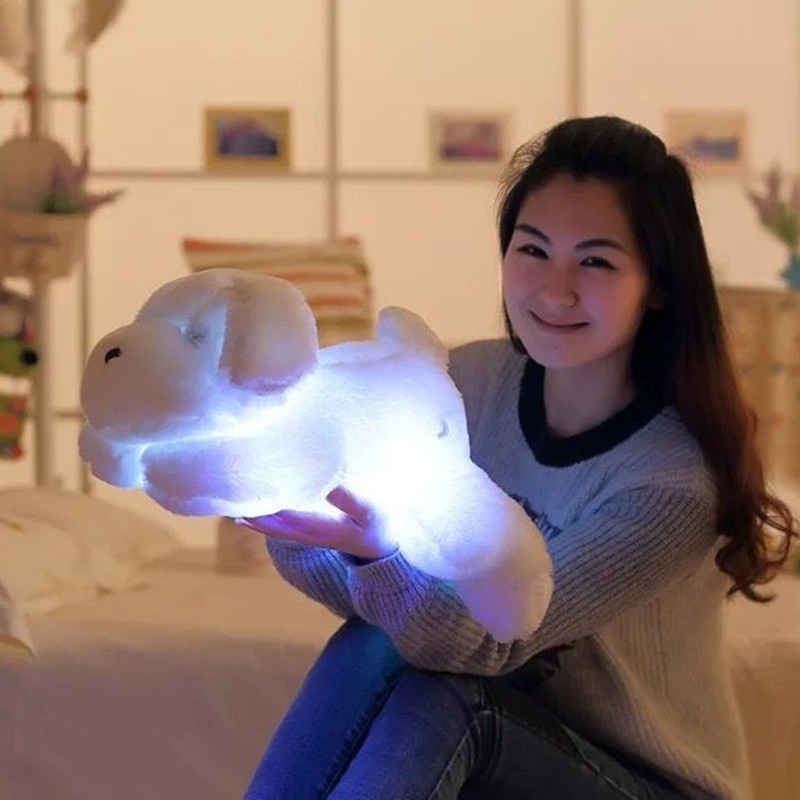Thú Nhồi Bông Hình Chú Chó Nhiều Màu Sắc Có Đèn LED Dễ Thương 50cm