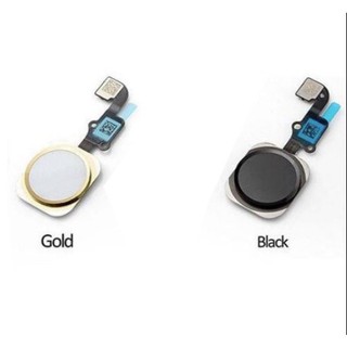 Nút home /phím home 5,5c,5s,5se,6,6s,6plus,6splus zin hàng cao cấp.