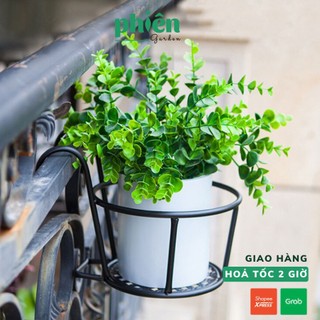 Kệ treo ban công, kệ treo cây cảnh, kệ trưng cây xinh xắn